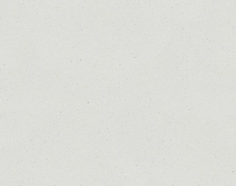 [1001111112_5] Surestep original - 171082 snow